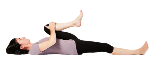 حرکت زانو به سینه (Knee to Chest)
